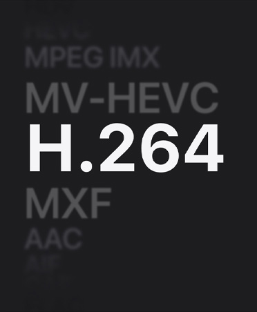 MPEG IMX、MV-HEVC、H.264、MXF、AACのリスト